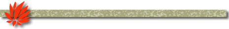 Lotus spacer bar