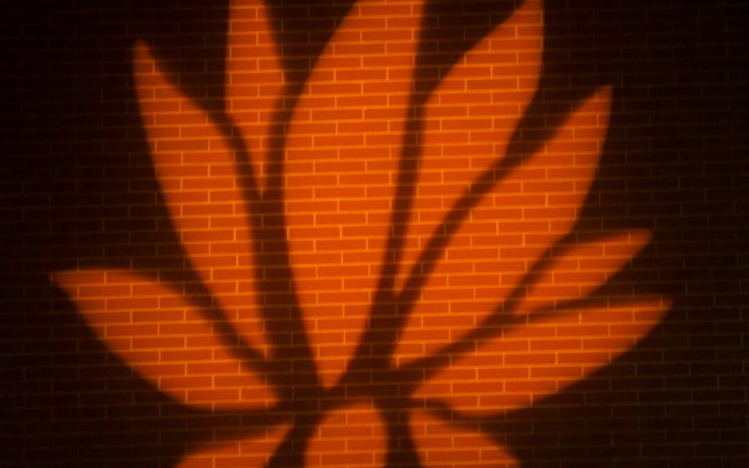 Lotus Recommended for National Endowment for the Arts Grant