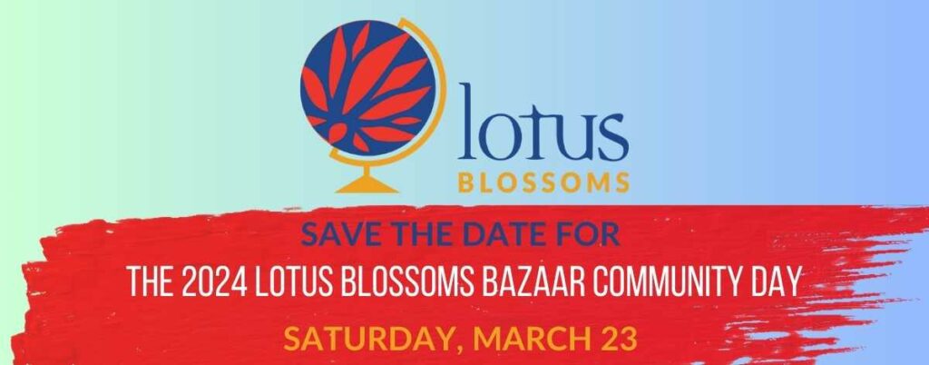 Lotus Blossoms 2024